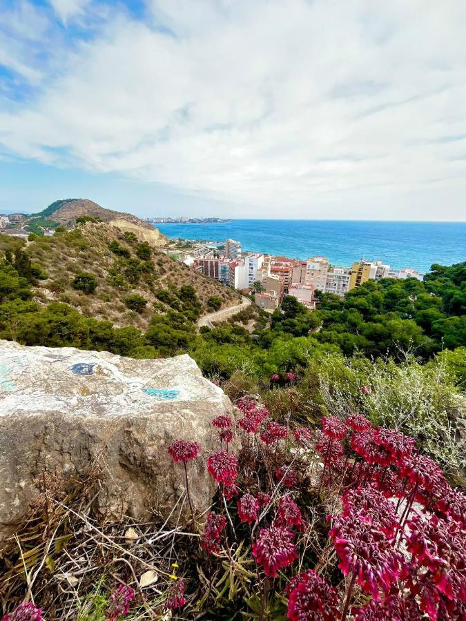 Hanna'S Estudio Deluxe Alicante Eksteriør billede